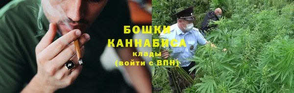 крисы Пересвет