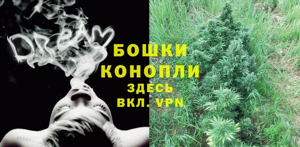 крисы Пересвет