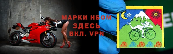 стаф Горнозаводск