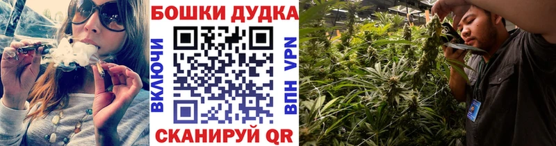 дарнет шоп  мориарти официальный сайт  Канабис SATIVA & INDICA  Кяхта  мега ONION 